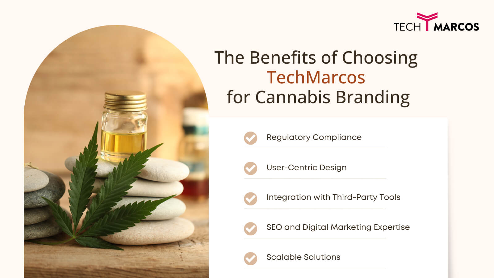 Cannabis web design focused on engaging and user-friendly layouts.