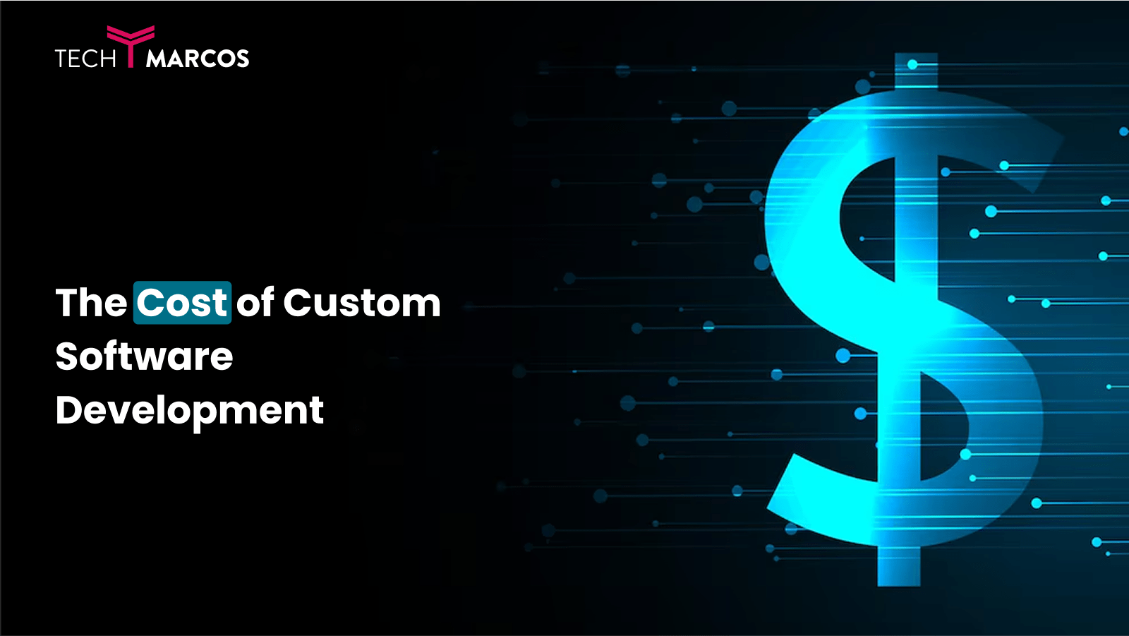 software development services