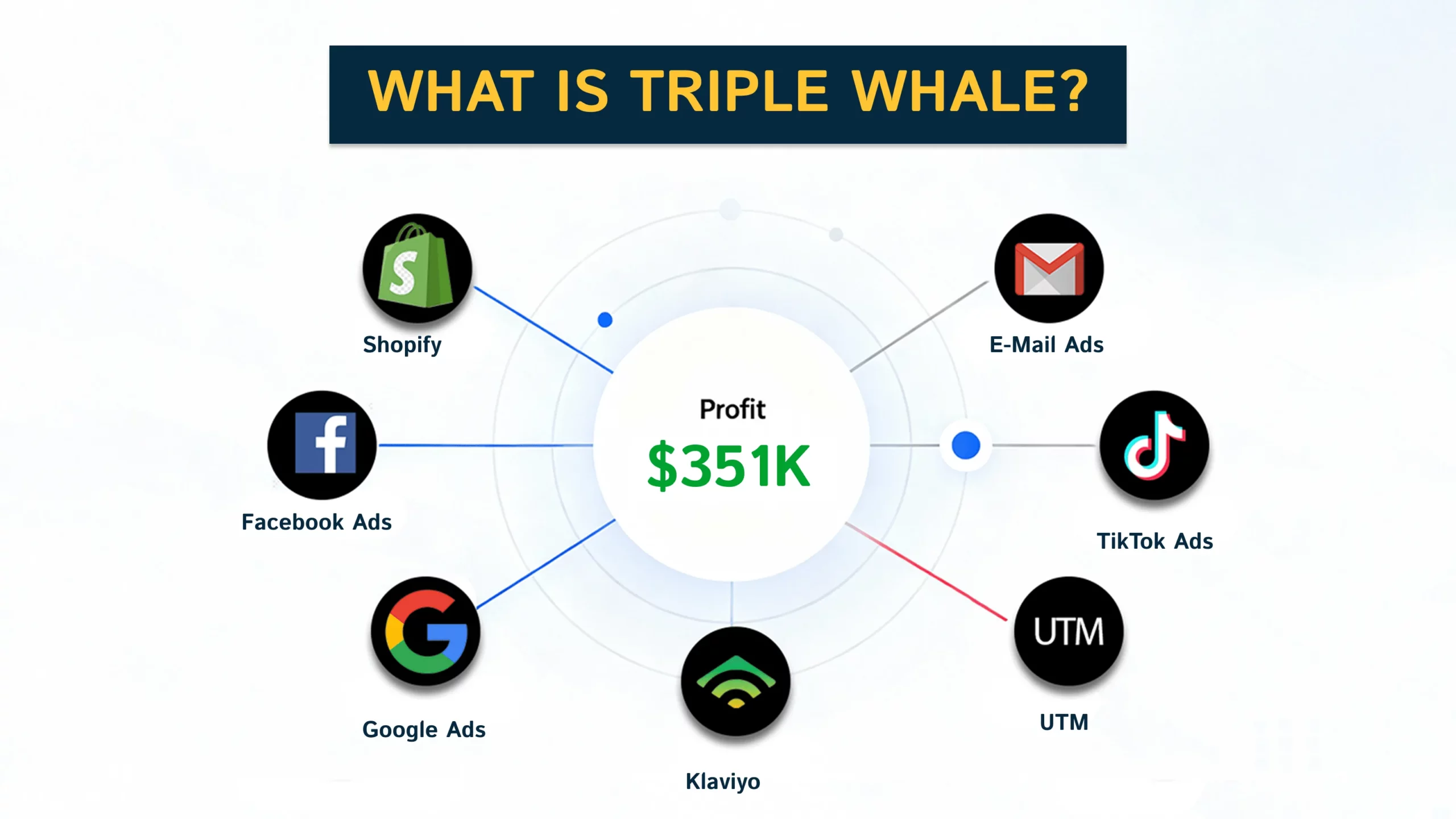 Triple Whale profit dashboard with revenue, ad spend, and net profit metrics for Shopify brands