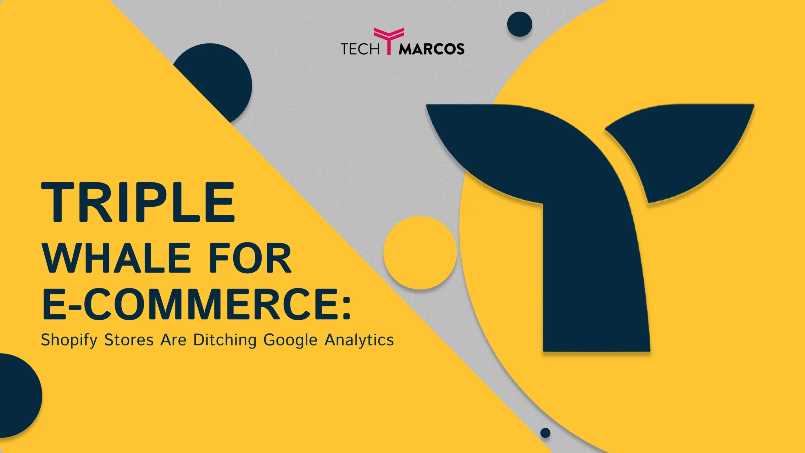 Triple Whale dashboard showing Shopify profit analytics and marketing attribution